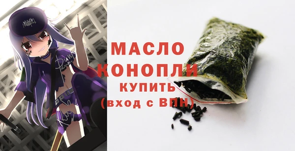 твердый Новозыбков
