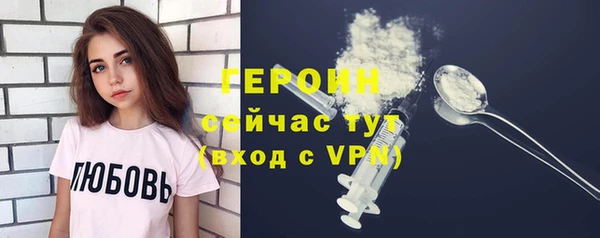 твердый Новозыбков
