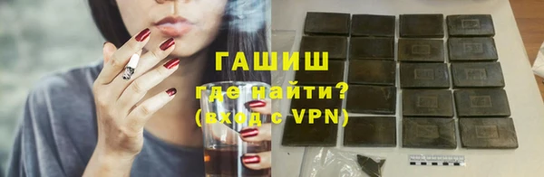 твердый Новозыбков