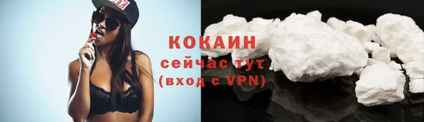 твердый Новозыбков