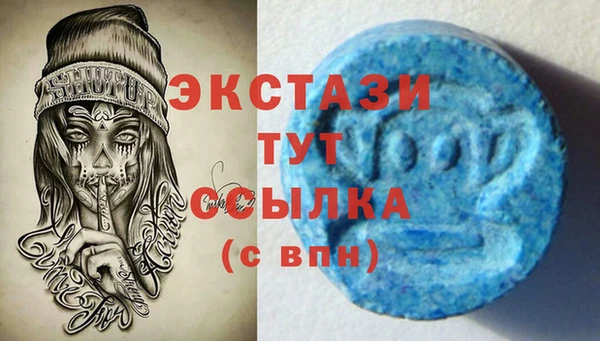 стаф Новодвинск