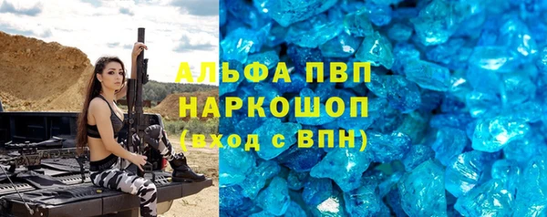стаф Новодвинск