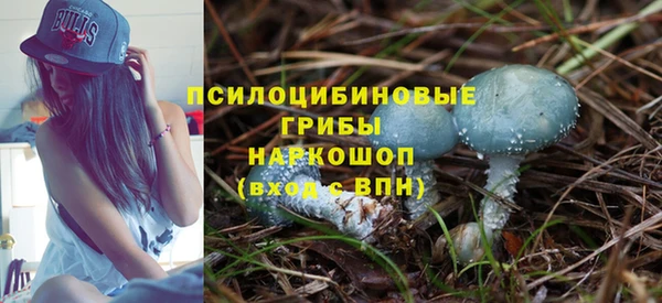 стаф Новодвинск