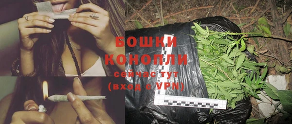 стаф Новодвинск