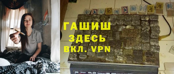 стаф Новодвинск