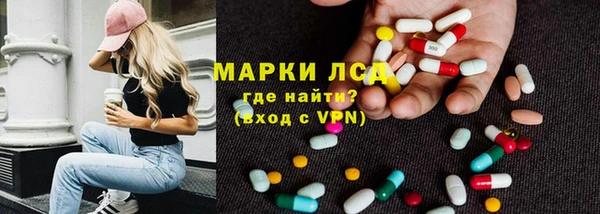 стаф Новодвинск