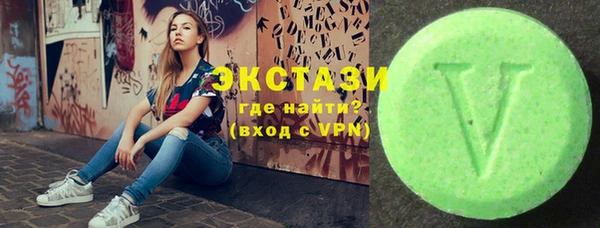 твердый Новозыбков