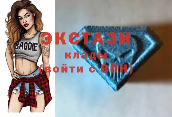 твердый Новозыбков