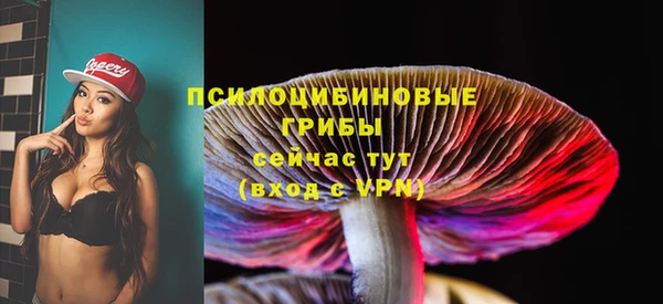 твердый Новозыбков